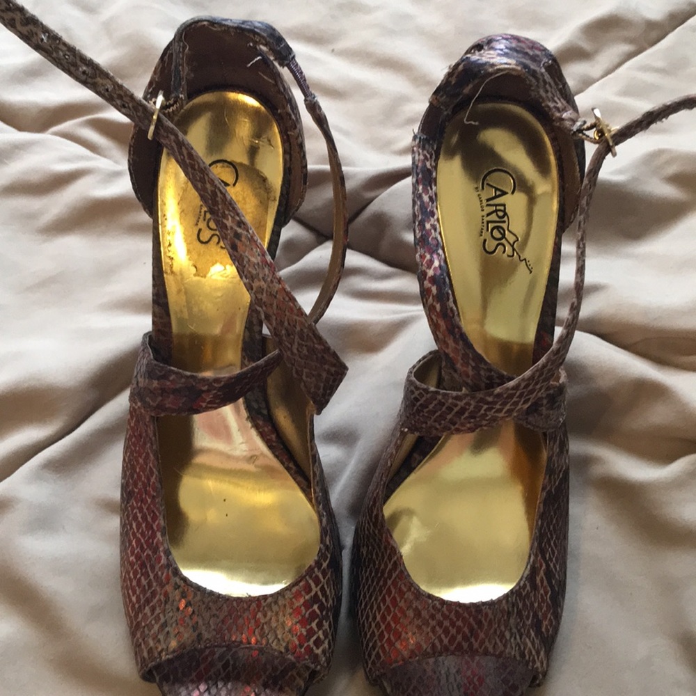 Carlos Santa Heels